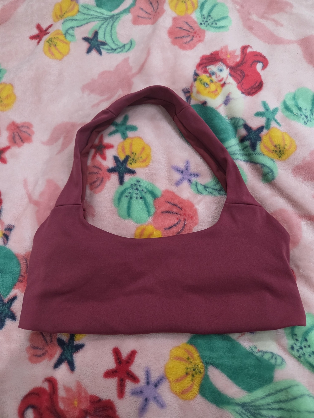 Alo Yoga Sports Bra in Plum